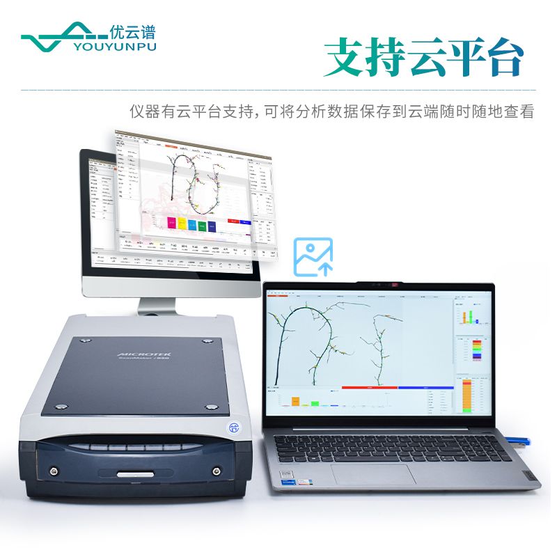 根系分析系統