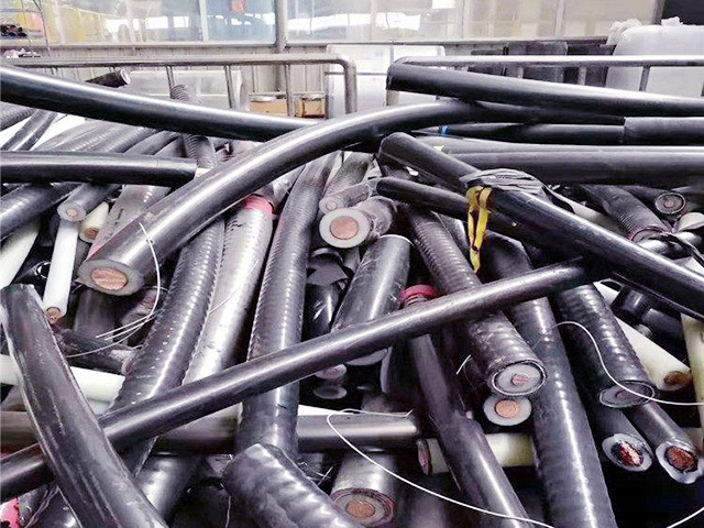 �U늾�����